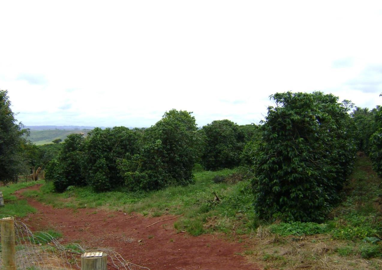 Sitio Sao Benedito São Roque de Minas Exterior foto
