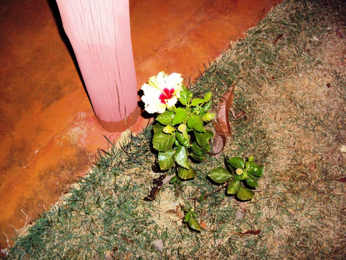 Sitio Sao Benedito São Roque de Minas Exterior foto